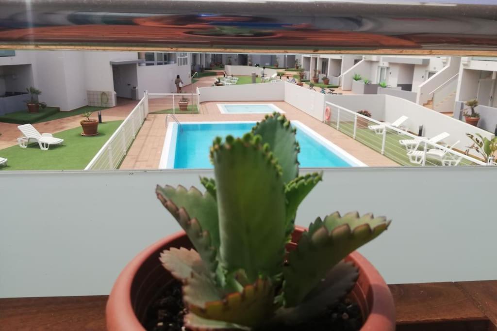 Appartement Blue Ocean Corralejo: Sunny Terrace, Pool, Wifi Extérieur photo