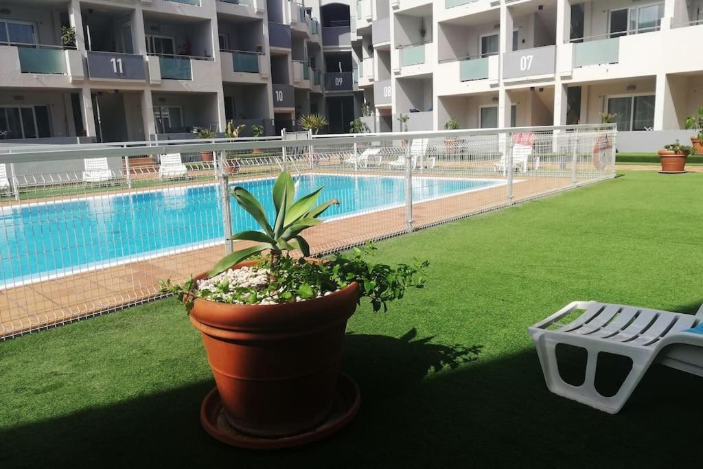 Appartement Blue Ocean Corralejo: Sunny Terrace, Pool, Wifi Extérieur photo
